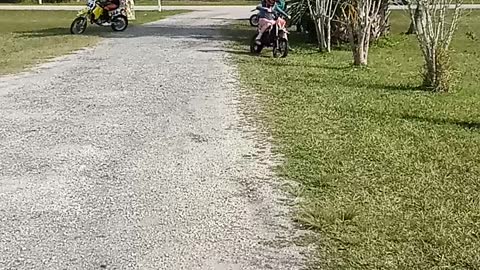 Kids dirt bike gang!