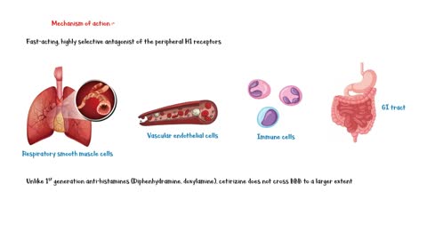 Cetirizine (Zyrtec, Reactine, Prevalin) - Uses, Mechanism Of Action, Adverse Effects, Pharmacology