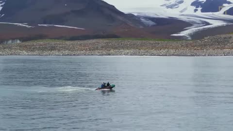 Go Inside an Antarctic 'City' of 400,000 King Penguins — Ep. 4 | Wildlife: Resurrection Island