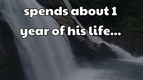 The average man spends about 1 year of his life... #shorts #psychologyfacts #subscribe