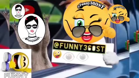 Funny video cute funny video