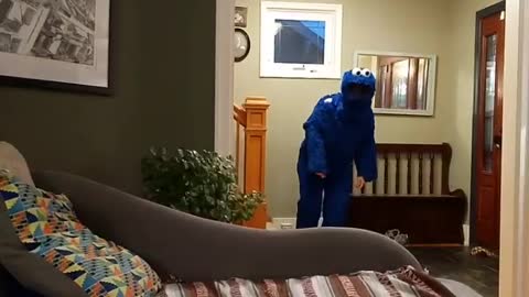 Cookie Monster Costume Confuses Dog