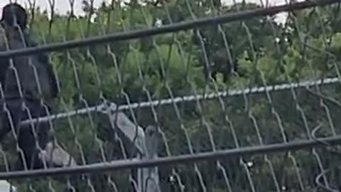 In Chicago NASCAR, a protester from Palestine attempted to display a Palestine flag.