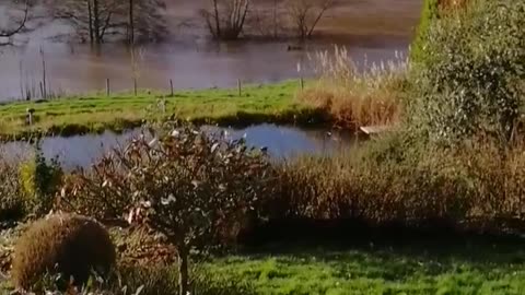 3 January 2024 River Mayenne flooding