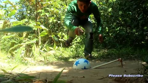 New Creative Unique Bird Trap Using Small Plastic Ball - Rolling Parrot Trap in Hole