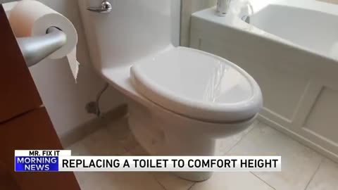 Mr. Fix It with tips on replacing your toilet