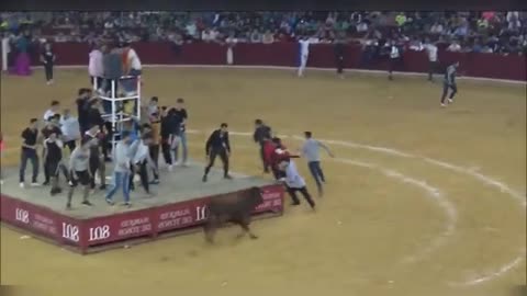 The Funniest Bullfighters in the World. (Awesome Bull fighting Competition)