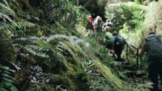 Trekking with friends