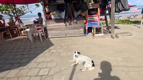 Daily life AS surfer in bali it's beautiful girl .