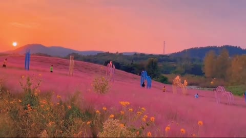 I mean, the pink mess in Flowerfield is so beautiful