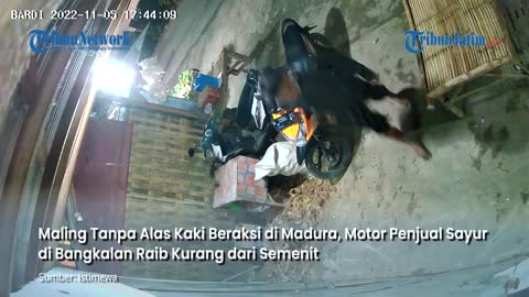 AKSI MALING NYEKER DI MADURA, Gasak Beat Penjual Sayur