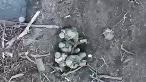 Ukrainian drone attack on a group of Russian soldiers