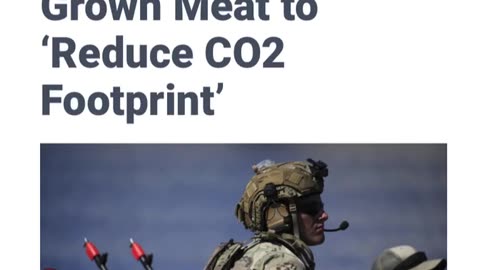 NEWS FLASH - The Pentagon wants to feed US Troops Fake Meat