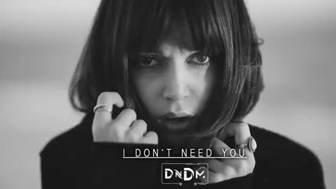 DNDM - I don`t need you (Original Mix)