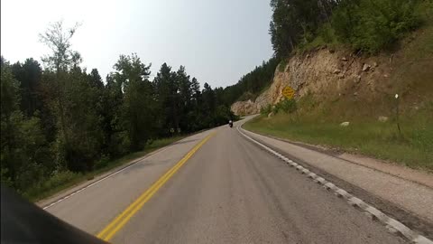 Ride video to Black Hills Harley and then to Vanocker Canyon Sturgis 2021