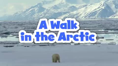 A Walk in the Arctic for Kids - Educational Video for Early Learners