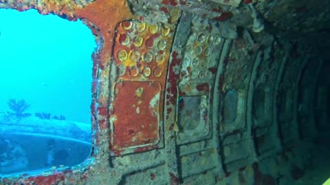 Wreck Diving in Aruba - Airplane Wreck Penetration Dive in the Caribbean