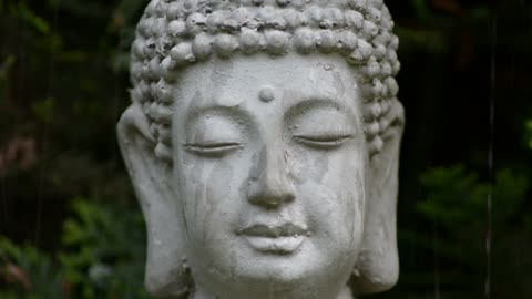 Statue of the Buddha portrait