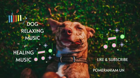 DOG HEALING MUSIC