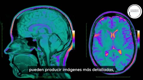 Meta IA usando ondas cerebrales para poder ver