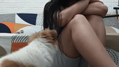 Pup Reacts to Owner's Fake Crying