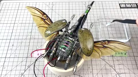 How to Make Realistic Mechanical Insects #DIY #机械昆虫 #Hercules Beetle #Steampunk #Machine Beetle#手工