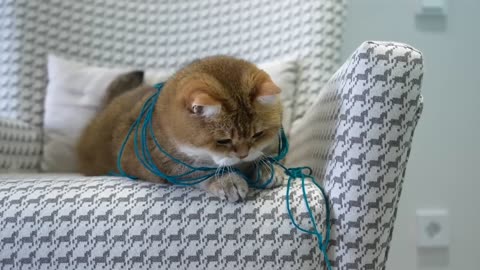 How to wind yarn into a ball