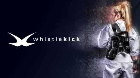 whistlekick State of the Martial Arts livestream