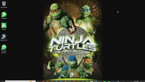 Ninja Turtles The Next Mutation Review