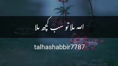 islamic whatsapp status,islamic bayan status,islamic