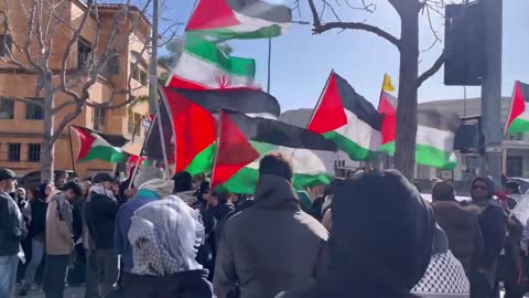 Pro Palestine rally, Los Angeles, CA (4/5/24)