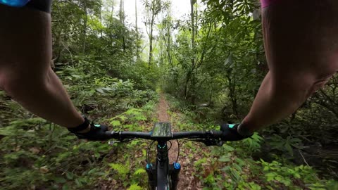 Fletcher gravel and Middle Fork Single Track Pisgah Western North Carolina MTB WNC