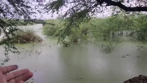 ALGAL BLOOM | Live Site Study | Biology Around Us Series ft. Vipin Sharma