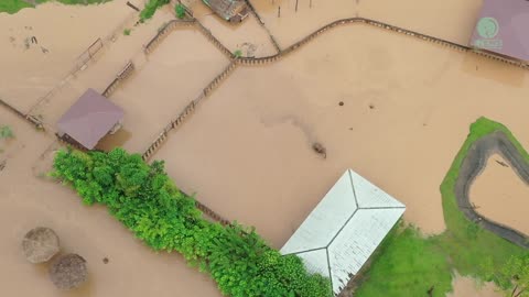 The Largest Flood In Many Years At Elephant Nature Park