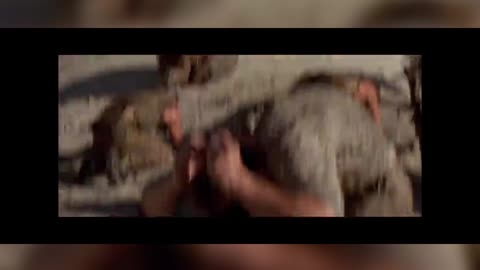 Watch Planet Of the Apes 2001 Part -1