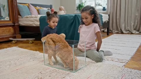 Kids are playing with pet animal video