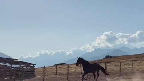 en Maras, Cuzco