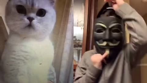 White Cat Reaction Mask man magic video #Catduet