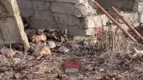 Footage from the fortified area south of the city of Avdeevka in the Donetsk