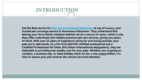 Best Pet Care in Northwest Edmonton