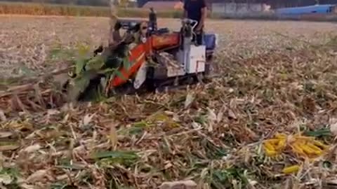 Corn Harvester Small Corn Harvester Mountain