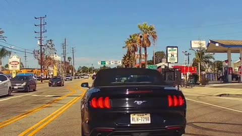 Mustang stopped right under red light.