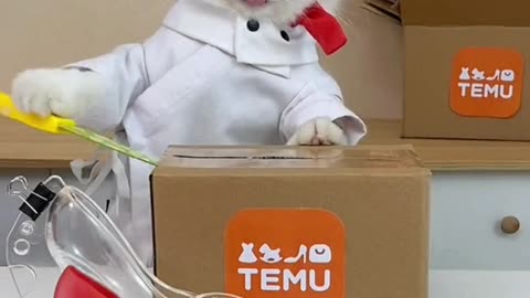 As a smart bargain shopper, Puff always knows where to shop! @Temu