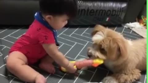 Adorable Baby Playing with Pets - Funny Baby Video