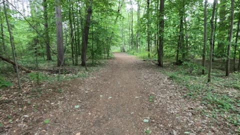 ⏳ The Sand Dunes Trails Of Pinhey Forest In Ottawa 🍁