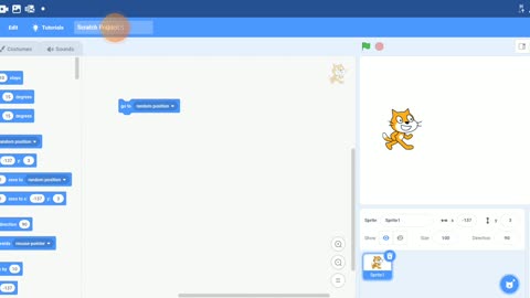 A Skype Interaction About Scratch