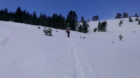 Jenny Lind Gulch Backcountry Skiing