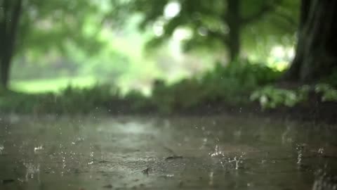 Early morning rain for sleep, relaxing video to relieve stress