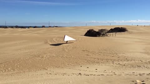 THIS is what Hang Gliding looks like!