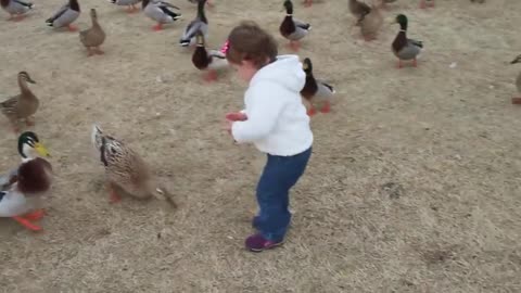 Baby Quinn feeding ducks at the park (CUTE!)